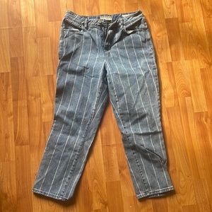 Pacsun size 28 denim striped mom jeans